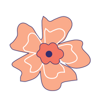 Fleur Oséclore orange avec centre rouge et bleu