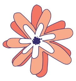 Dessin d'une fleur en forme d'étoile